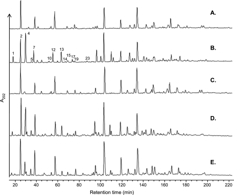 Fig. 2.