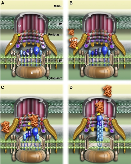 FIGURE 1.