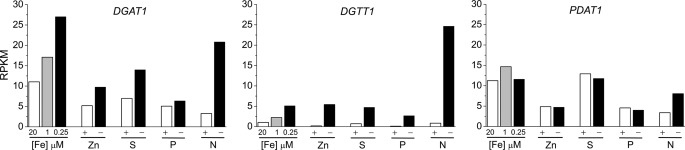 FIGURE 4.