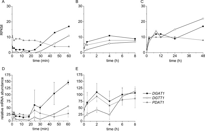 FIGURE 2.