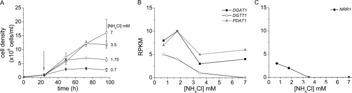 FIGURE 3.