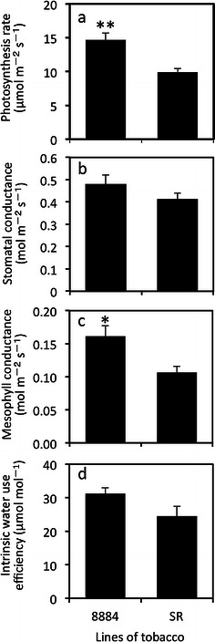 Fig. 3