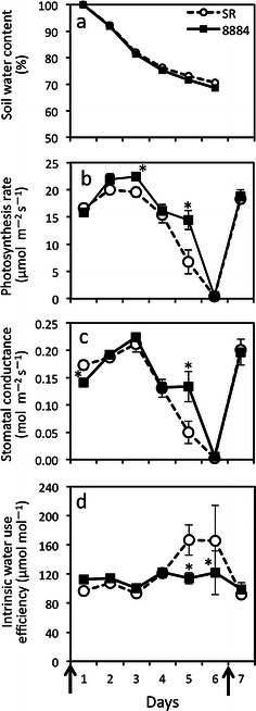 Fig. 6