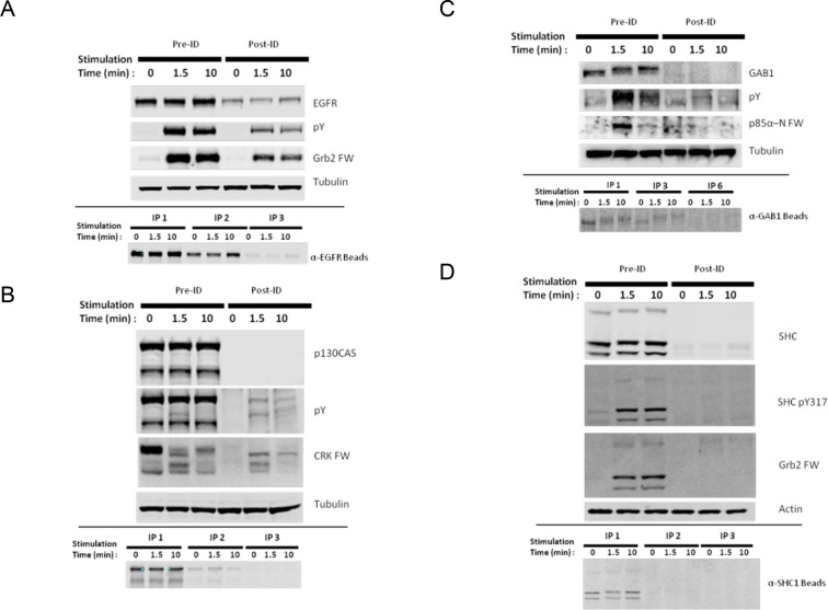 Figure 2—figure supplement 2.