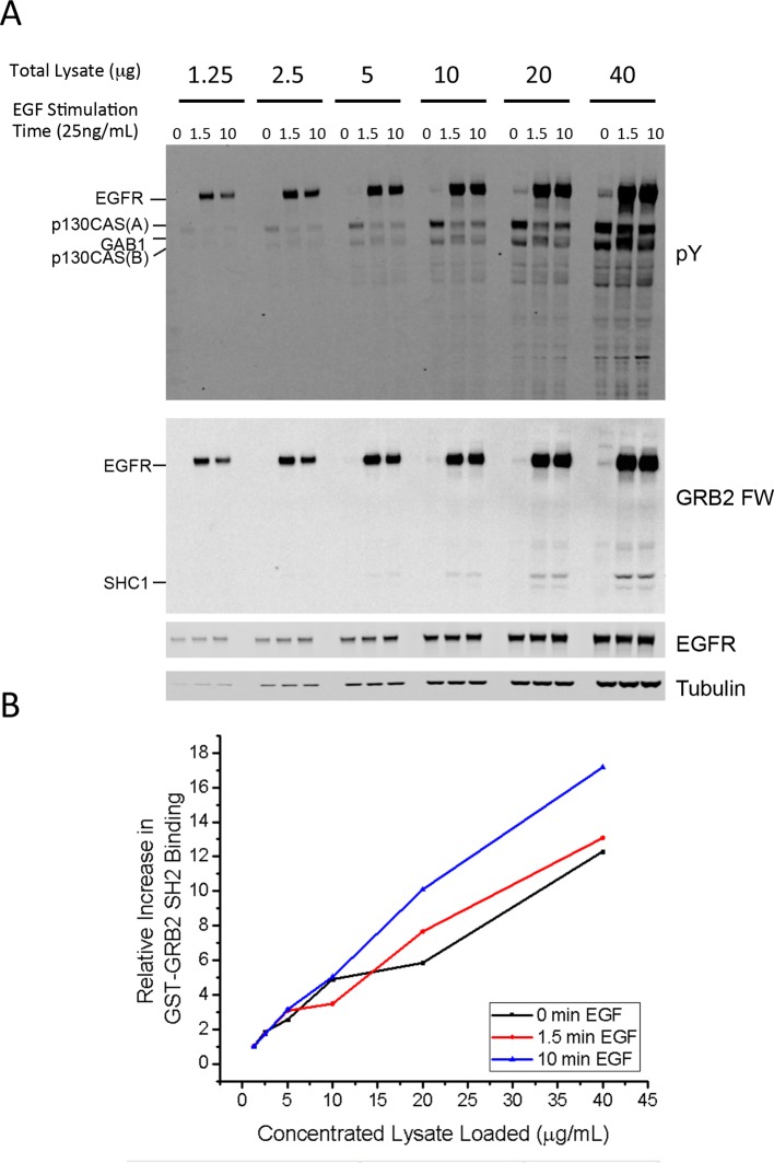 Figure 4—figure supplement 4.