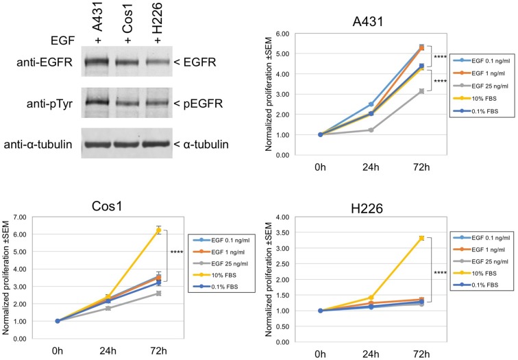 Figure 4—figure supplement 5.