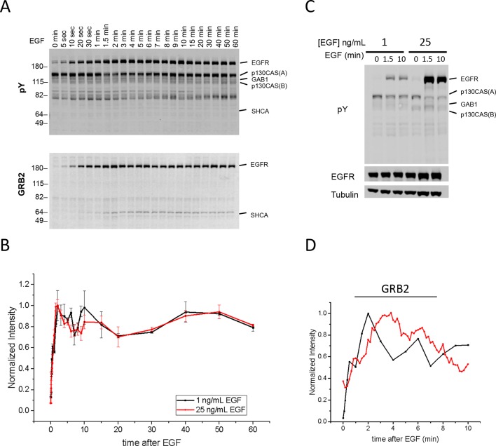 Figure 4—figure supplement 6.