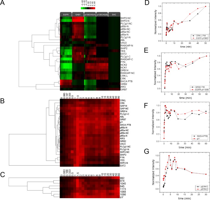 Figure 2—figure supplement 3.