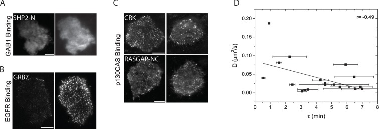 Figure 4—figure supplement 1.