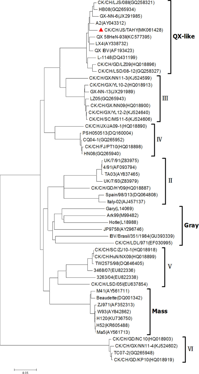 Figure 1