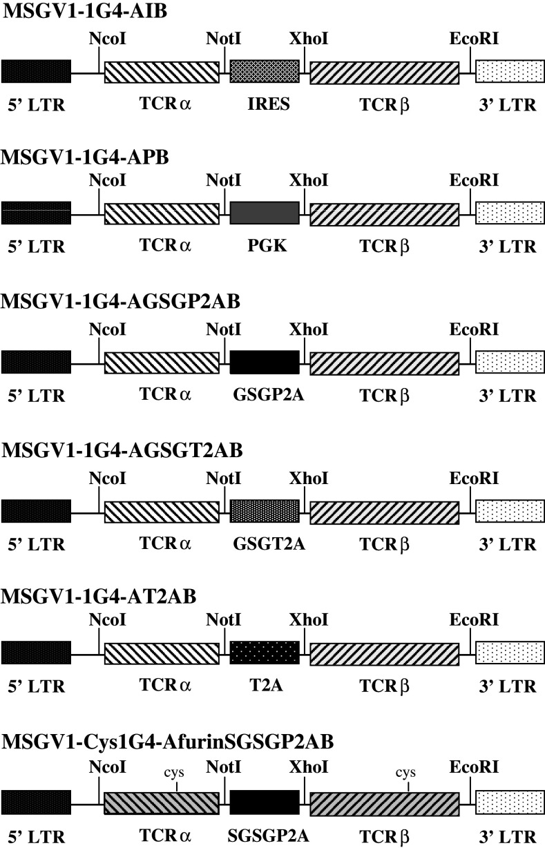 Fig. 1