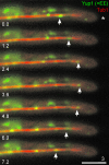 FIG. 4.