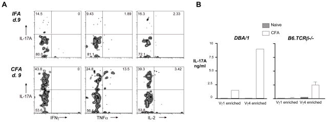 Fig. 8