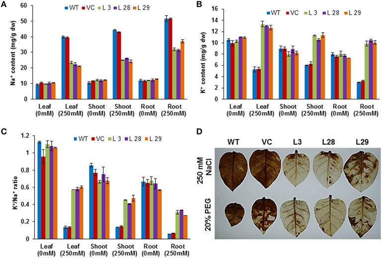 Figure 4