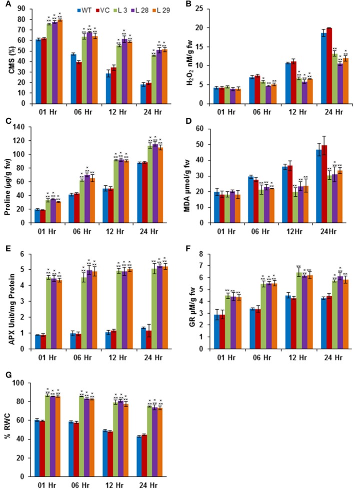 Figure 6