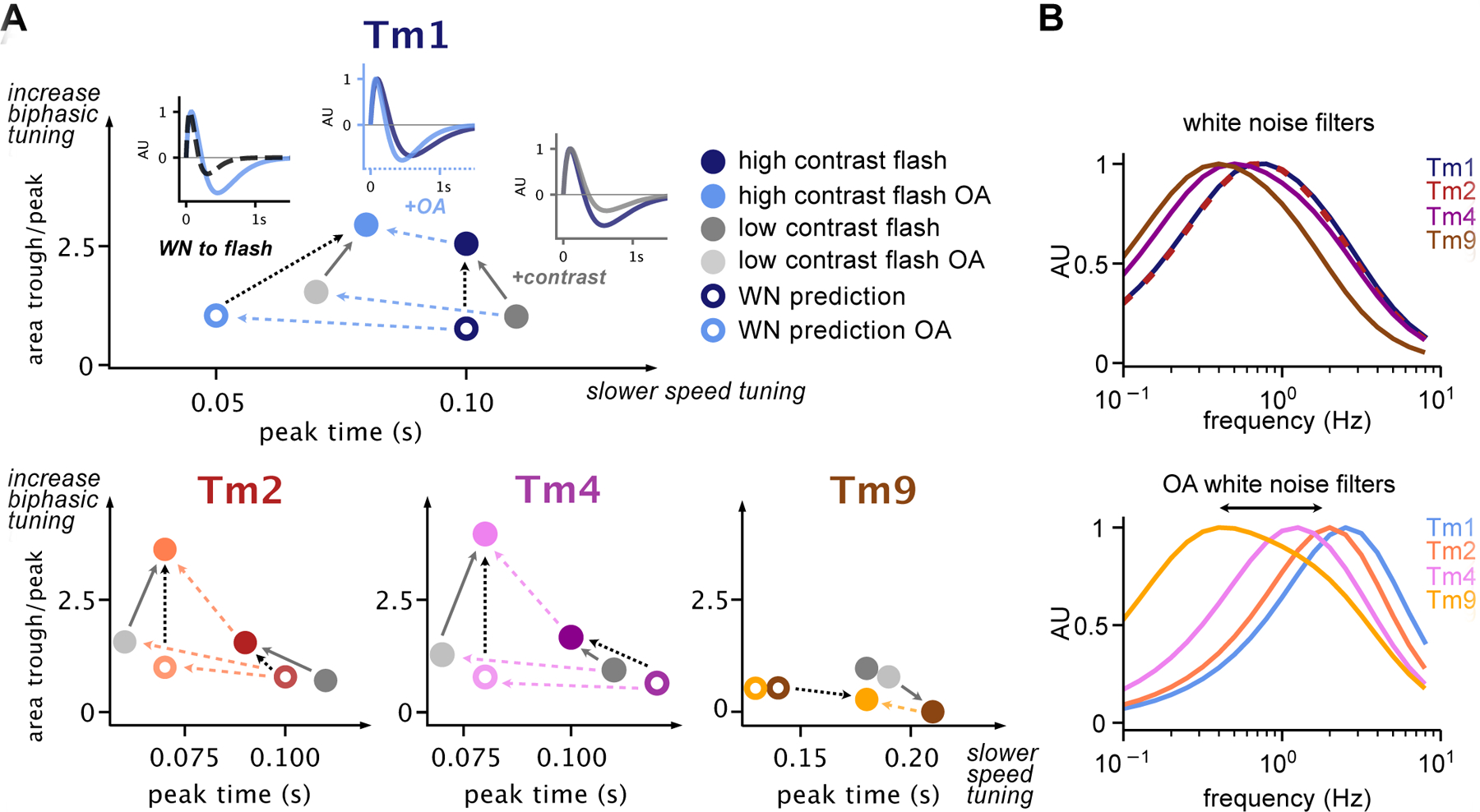 Figure 4: