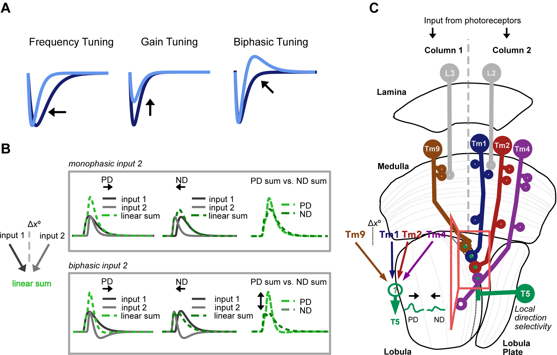 Figure 1: