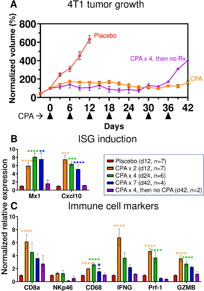 FIGURE 4