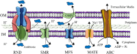 Figure 3