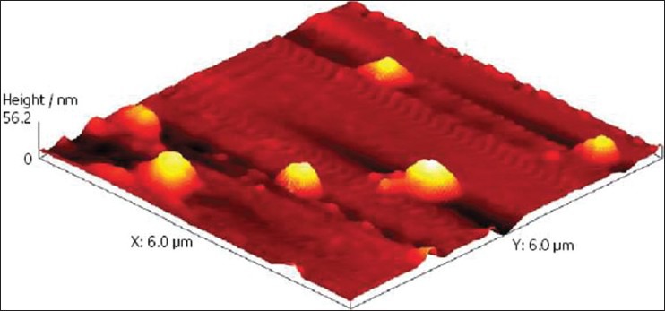 Bhasma : The Ancient Indian Nanomedicine - PMC