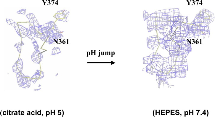 Supplementary Fig. S5