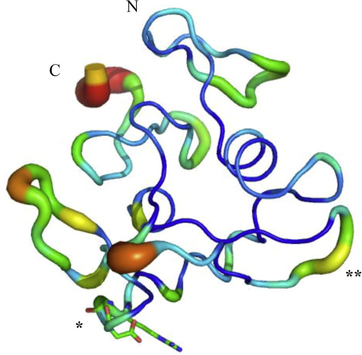 Supplementary Fig. S8