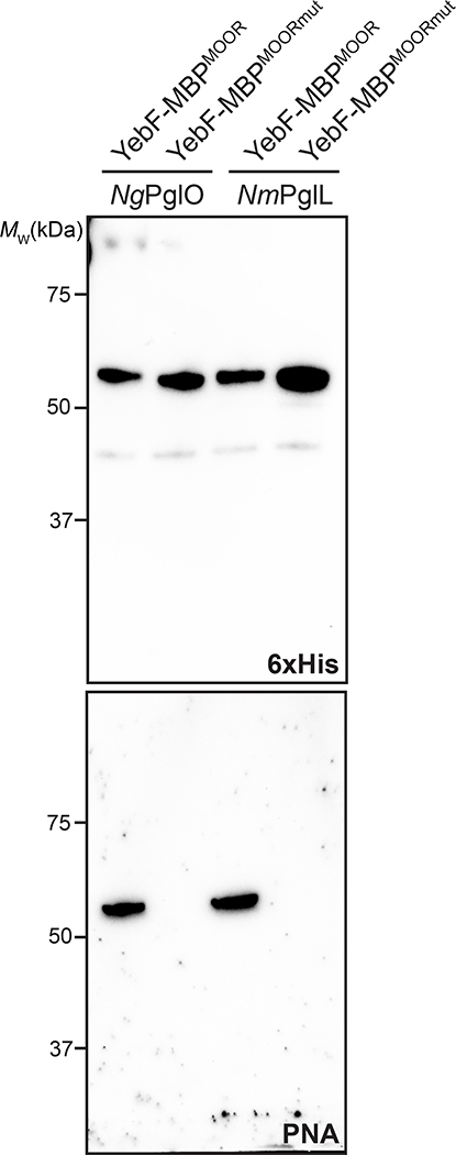 Extended Data Fig. 8 |