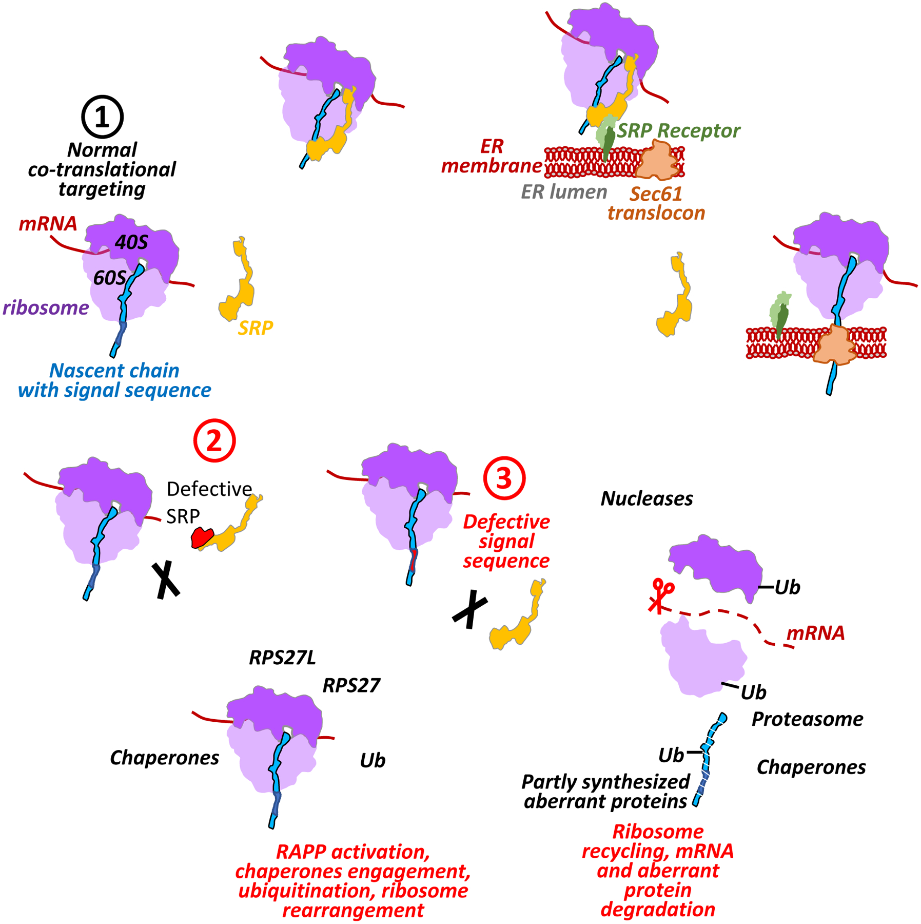 Figure 10.