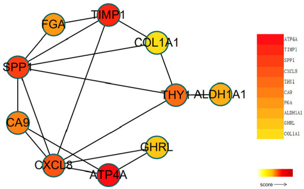 Figure 5.