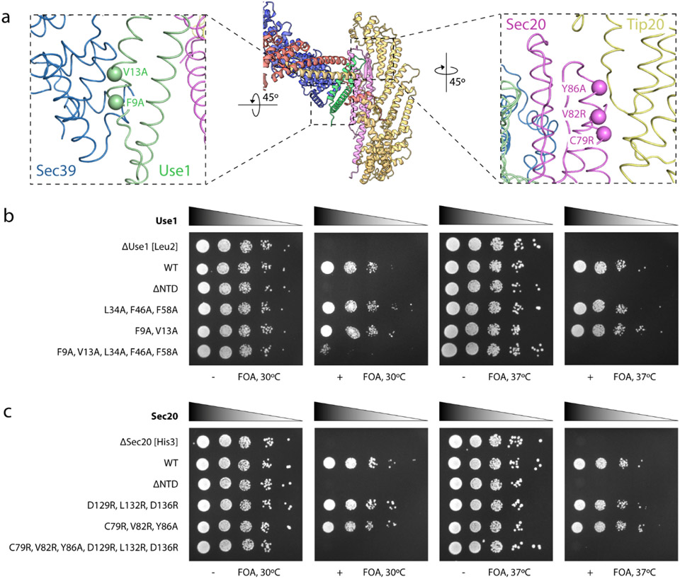 Fig. 4: