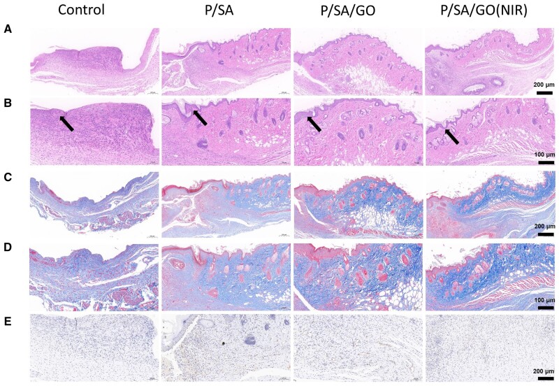 Figure 10.