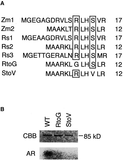 Figure 10.