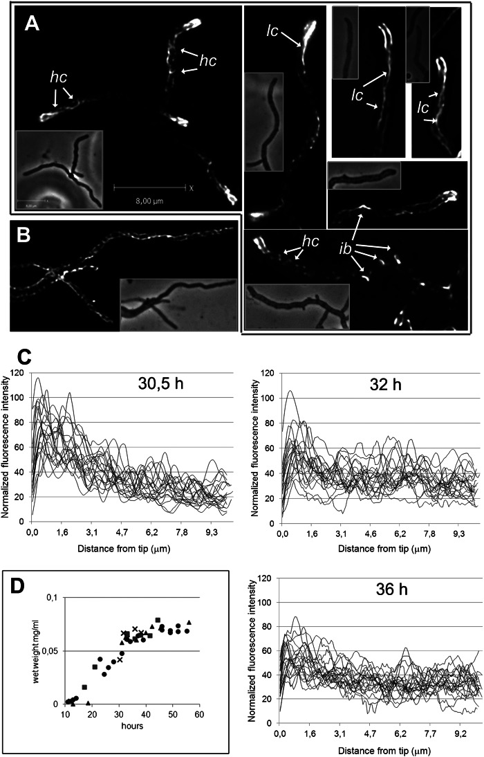 Fig. 2.