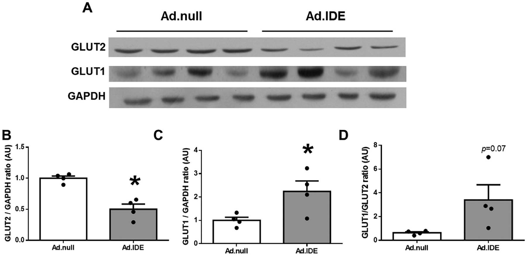 Fig. 8.