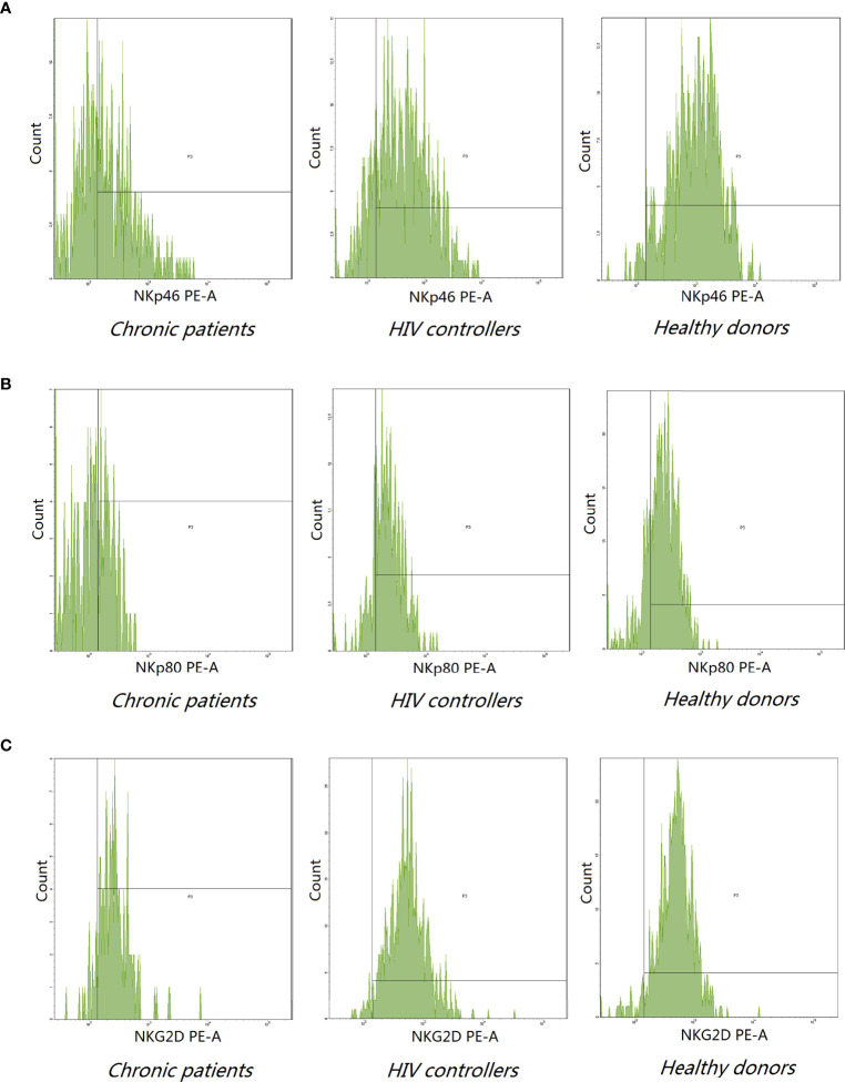 Figure 2