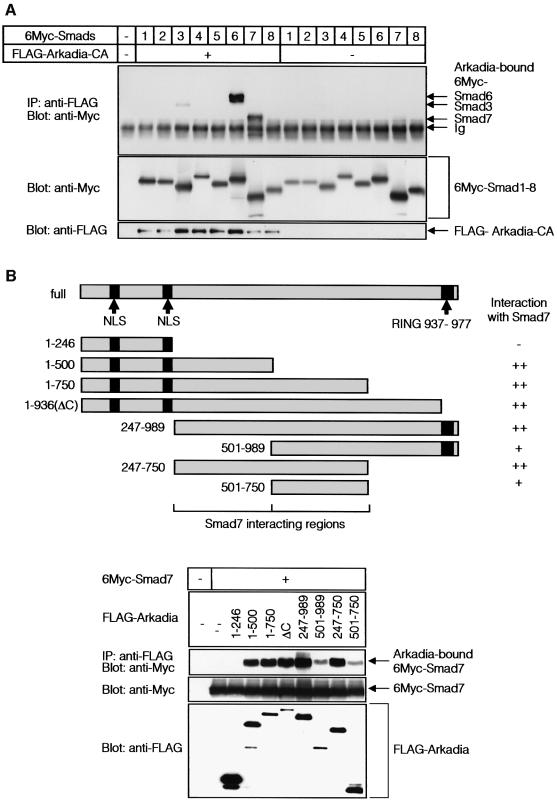 graphic file with name cdg632f2a.jpg