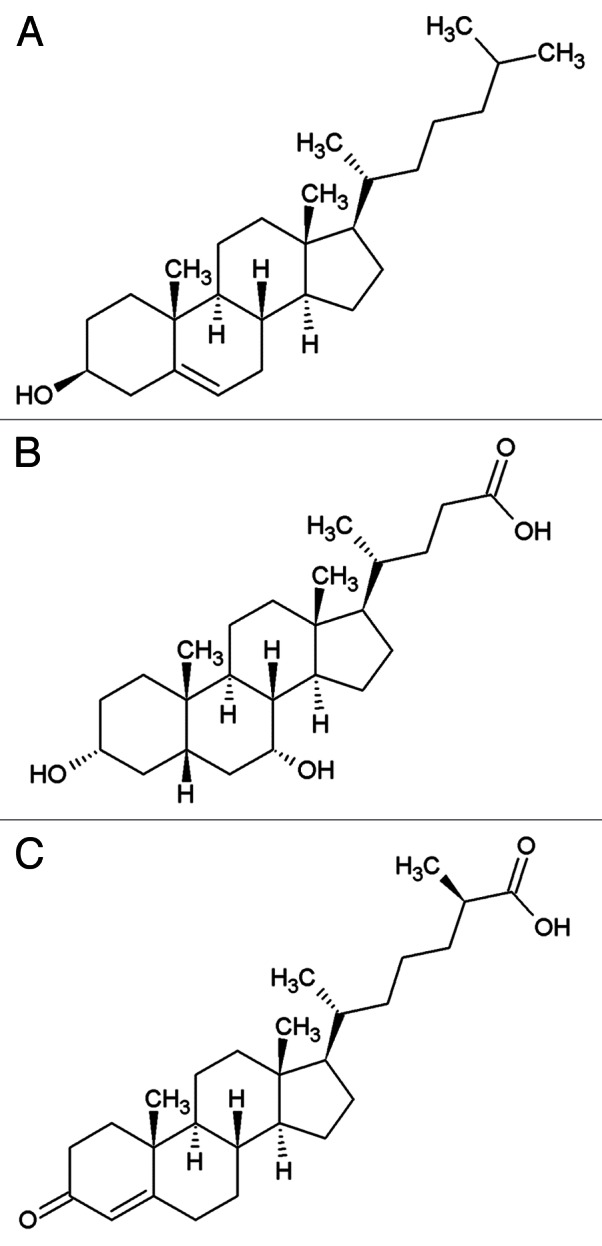 graphic file with name worm-2-e21457-g1.jpg