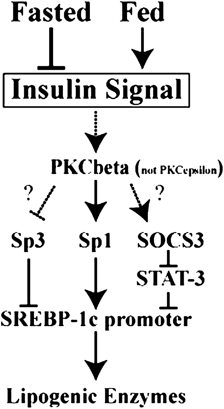 Fig. 10.