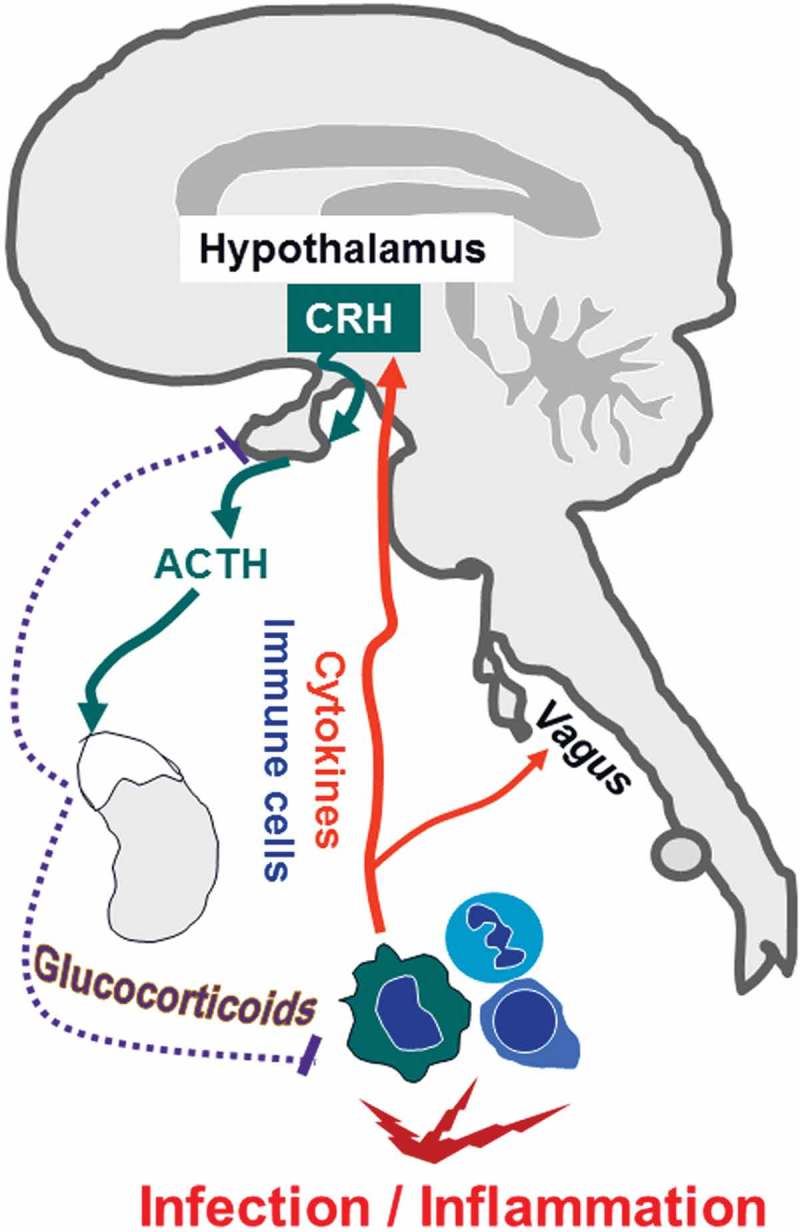 Figure 1.