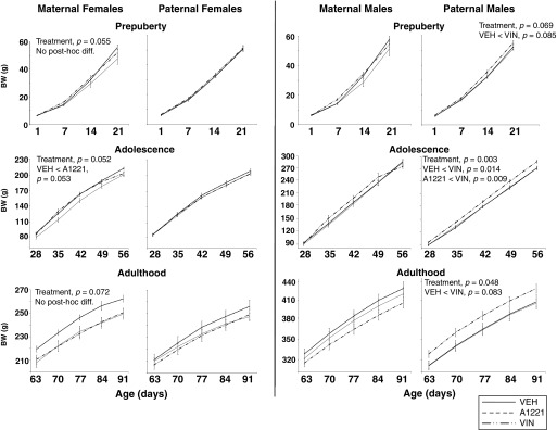 Figure 3 left pane comprises six line graphs plotting body weight in grams (y-axis) across age in days (x-axis) during three phases of development prepuberty, adolescence, and adulthood for maternal females and paternal females. The right pane depicts the same for maternal males and paternal males.