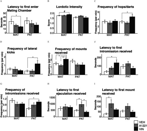 Figures 9A, 9F, 9H, and 9I are bar graphs with mean plus or minus S E M plotting seconds (y-axis) for latency to first enter mating chamber, latency to first intromission received, latency to first ejaculation received, and latency to first mount received, respectively, across maternal and paternal females (x-axis) for V E H, A1221, and V I N. Figure 9B is a bar graph with mean plus or minus S E M plotting score (y-axis) for lordic intensity (y-axis) across maternal and paternal females (x-axis) for V E H, A1221, and V I N. Figures 9C, 9D, 9G, and 9E are bar graphs with mean plus or minus S E M plotting frequency per minute (y-axis) for frequency of hops or darts, frequency of lateral kicks, frequency of mounts received, and frequency of intromissions received, respectively, across maternal and paternal females (x-axis) for V E H, A1221, and V I N.