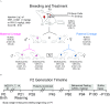 Figure 1A is a conceptual diagram showing breeding and treatment paradigm of pregnant rat. Figure 1B is a F2 generation timeline from P0 Birth to P135.