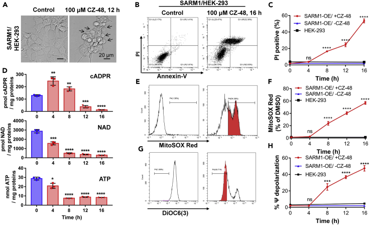 Figure 6