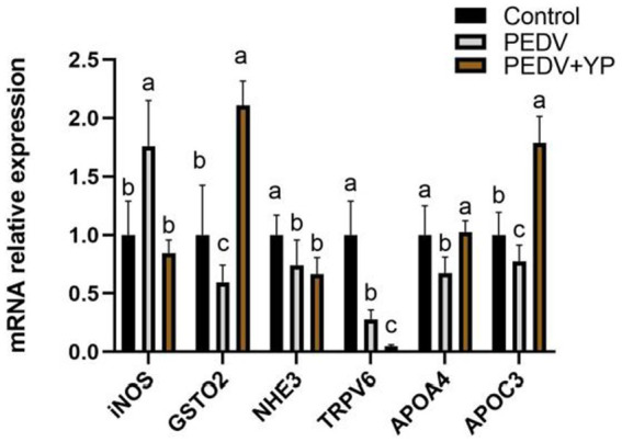 Figure. 5