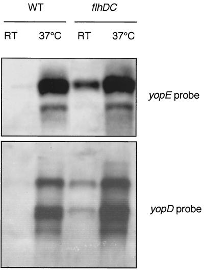 FIG. 6.