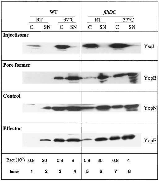 FIG. 3.