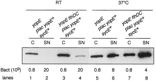 FIG. 7.