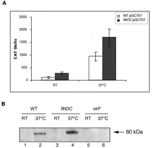 FIG. 5.