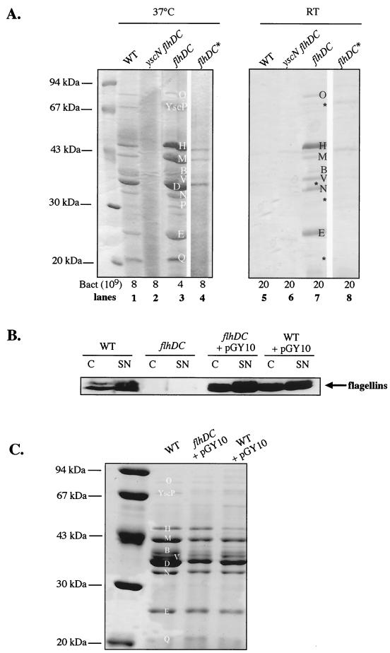 FIG. 2.