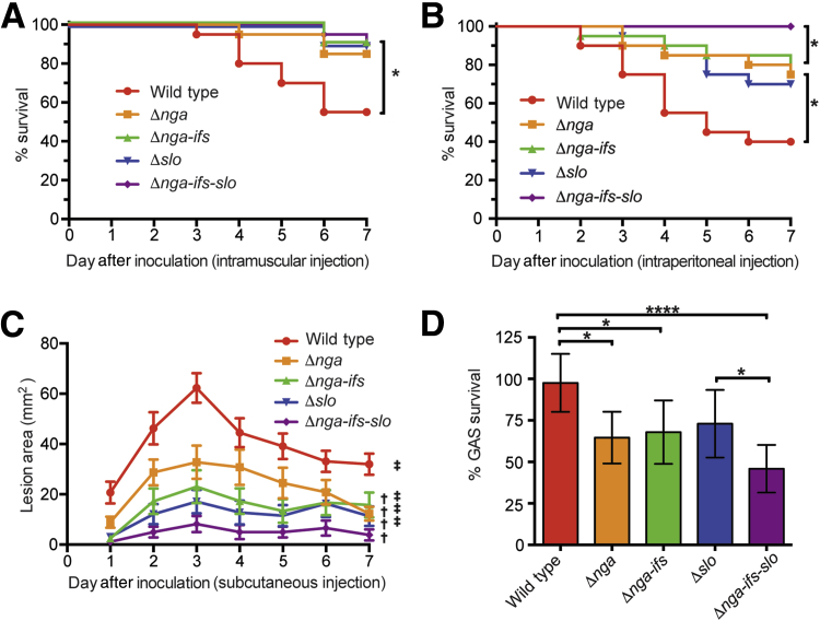 Figure 2